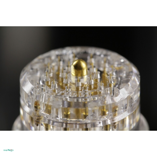 ROSE-HA Ampoule 8P + Tok Tok (Aqua Gold)